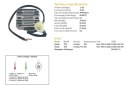 DZE REGULATOR NAPIĘCIA HONDA TRX 300 FW FOURTRAX '93-'00 (31600-HC5-970) (SH532C-13;ESR128)
